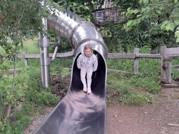 34