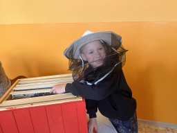 img_8491