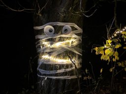 Putování se světýlky!