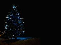 Rozsvícení vánočního stromu na Červeném Potoce